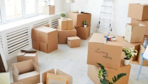 Packers and Movers Dhanori Pune