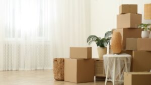 Packers and Movers Hinjewadi Pune