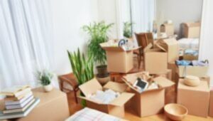 Packers and Movers Kalyani Nagar Pune