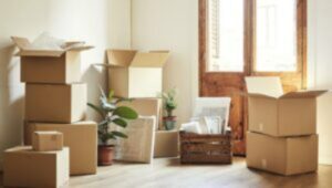 Packers and Movers Pashan Pune