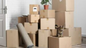 Packers and Movers Sahakar Nagar Pune