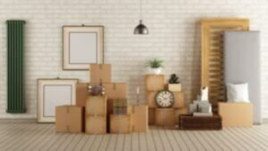 Packers and Movers Wadgaon Sheri Pune